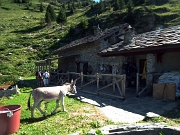 27 che lo riporta alla Casera Azzaredo (1795 m.) 